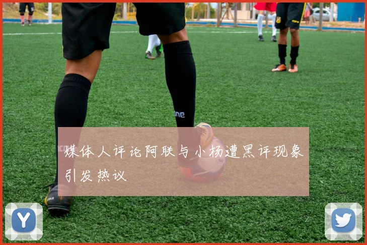 媒体人评论阿联与小杨遭黑评现象引发热议