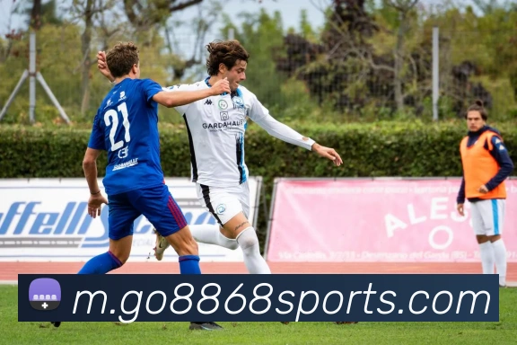 App Interface Preview